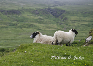 backpack, dornie, eileen donan, faerie, fairy, fairy glen, highland, isle, meadow, mull, pasture, ru