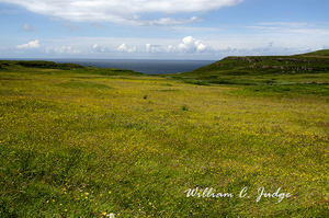 blue, calgary bay, clouds, field, flowers, harbor, isle of mull, meadow, ocean, scotland, scottish,